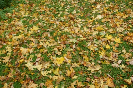 Rudens klāt