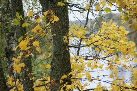 Rudens Valmierā